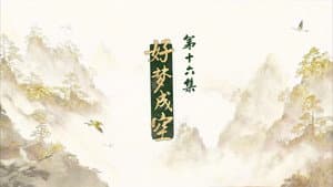 Episode 16