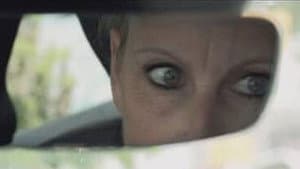 Hunters undercover