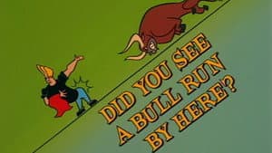 Did You See a Bull Run By Here?