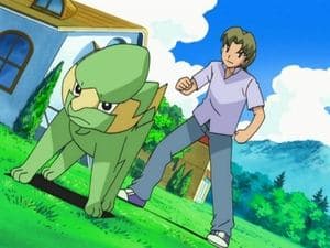 The Electrike Company!
