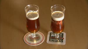 Electric Stand-Up Vehicles, Frozen Fruit, Beer Coasters, Forged Door Handles