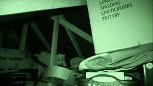 Ghostly Regulars at Haunted Pubs and More