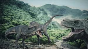 The Predation