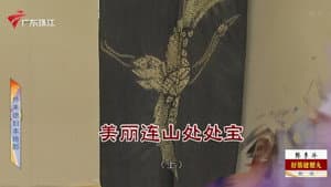 Episode 4325