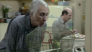 The Budgie