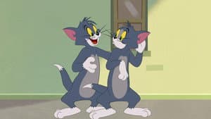 Top of the Heap / Stunt Double Trouble / Surfer Supreme / Kabuki Cat