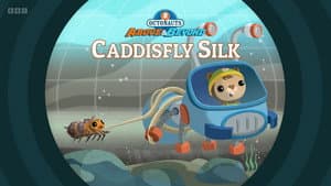 Caddisfly Silk