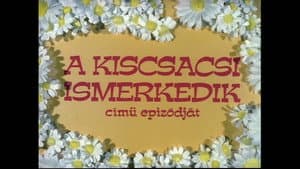 A kiscsacsi ismerkedik