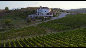 Cabernet Franc