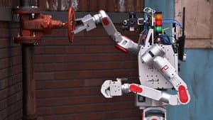 Rise of the Robots