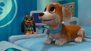 Pup Fiction / Night at the Pawspital