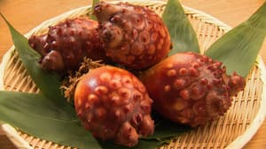 HOYA