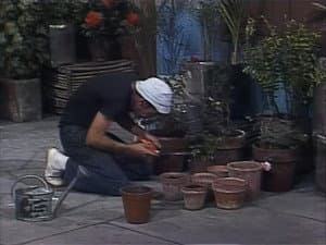 Ama a Tus Enemigos