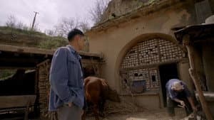Episode 14