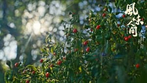 Maze of Fruits