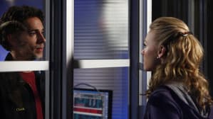 Chuck Versus the American Hero
