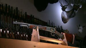 Automatic Sliding Doors, Gin, Firearms Restoration