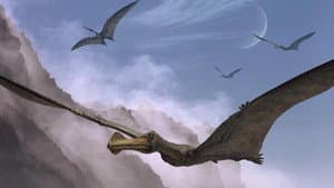 Giant of the Skies