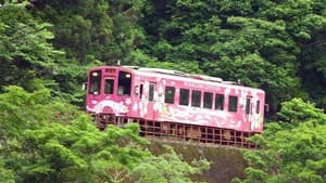 On Track for the Next Decade: Nishikigawa Railway