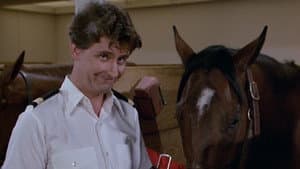Secretary to the Stars/Julie's Decision/The Horse Lover/Gopher and Isaac Buy a Horse