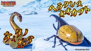 Titano Boa VS Hercules Beetle