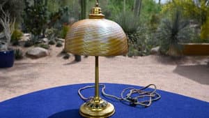 Desert Botanical Garden, Hour 1