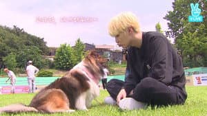 EP.23 | Pet Friends