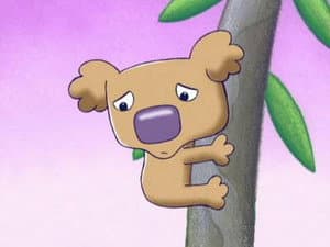 The Story of Phoebe the Koala