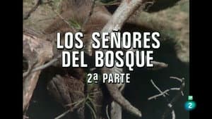 The Lords of the Forest II