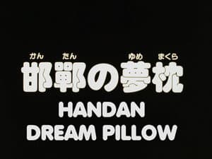 Handan Dream Pillow