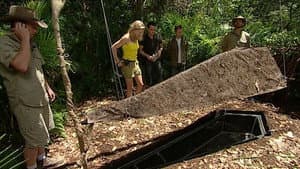 In Grave Danger