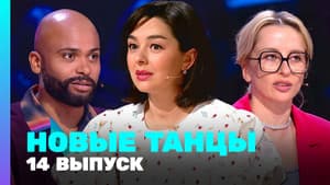 Episode 14
