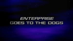 Enterprise Goes to the Dogs