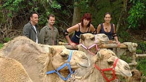 Hump It!