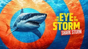 In the Eye of the Storm: Shark Storm