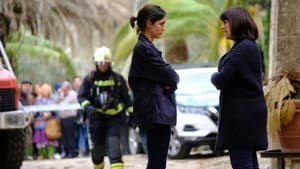 El Cant de la Sibil·la