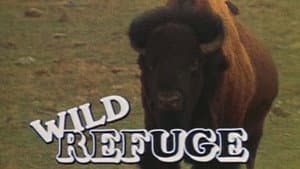 Wild Refuge