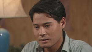 Episode 337