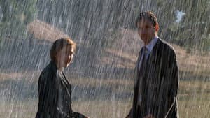 The Rain King