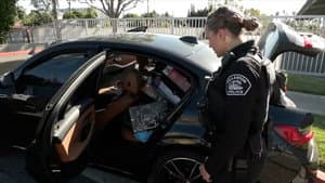 Shoplifting Pursuit