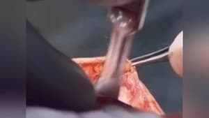 Flesh Eater