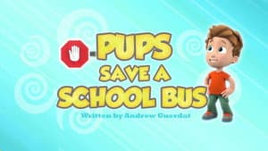 Pups Save a School Bus