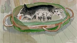The Day of the Big Surprise/Lambs on a Real Farm