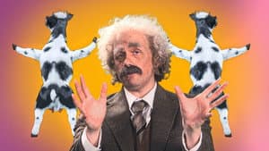 Catapulting Cows, School of Rocks and First Honk of the Proms