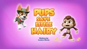 Pups Save Little Hairy