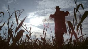 Scarecrow