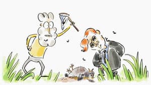 Forensic Entomology