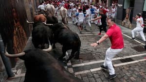 Cuarto Encierro - Fuente Ymbro