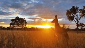 Australia