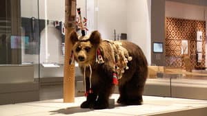 Ainu: A National Museum of Ainu Culture